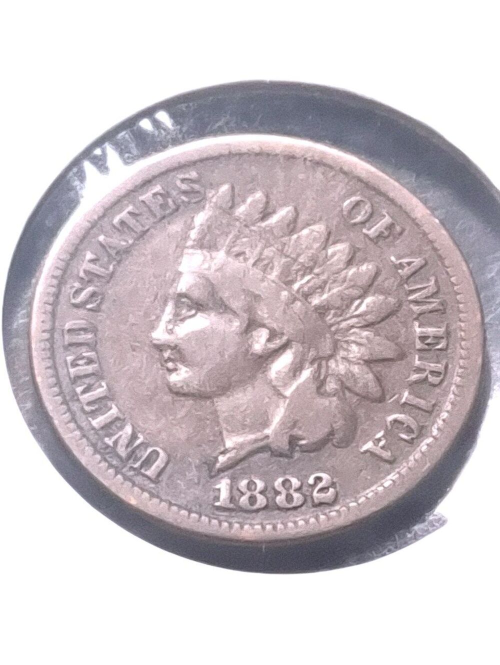 1882 Indian Head Penny #204